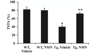 NMNの投与によりマウスの老衰過程における血管機能障害を逆転させる