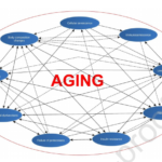 老化は世界保健機関が使用する疾患基準に適合