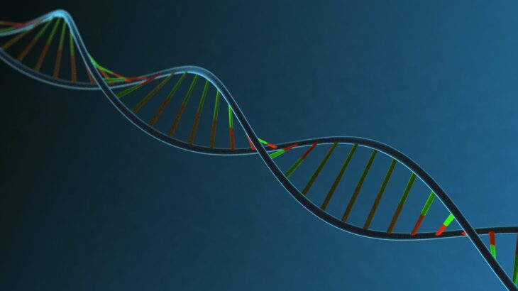 【徹底解説】NMNで活性化するサーチュイン遺伝子とは？